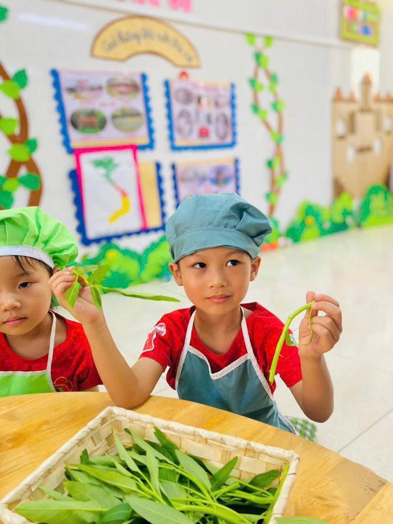 Các bé tham gia sơ chế rau trong hoạt động giáo dục dinh dưỡng